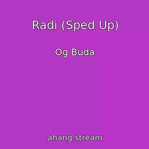 کاور آهنگ Radi (Sped Up) از Og Buda