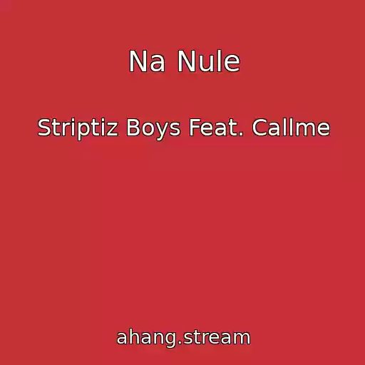 کاور آهنگ Na Nule از Striptiz Boys Feat. Callme