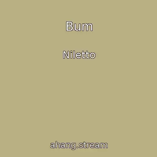 کاور آهنگ Bum از Niletto