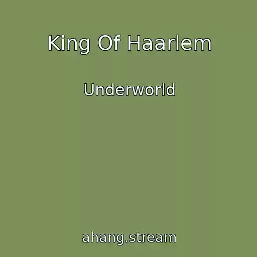 کاور آهنگ King Of Haarlem از Underworld
