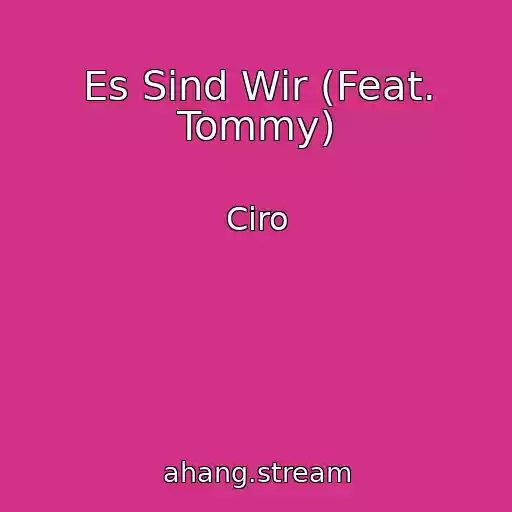 کاور آهنگ Es Sind Wir (Feat. Tommy) از Ciro