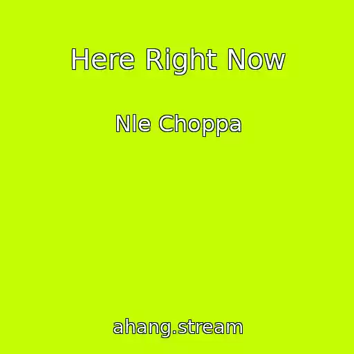 کاور آهنگ Here Right Now از Nle Choppa