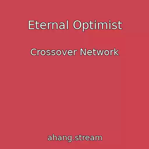 کاور آهنگ Eternal Optimist از Crossover Network
