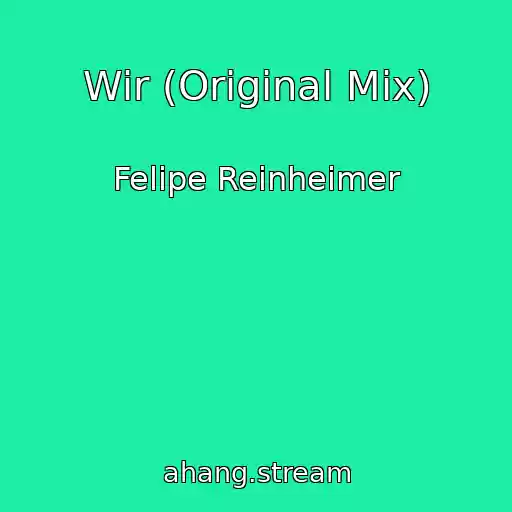 کاور آهنگ Wir (Original Mix) از Felipe Reinheimer