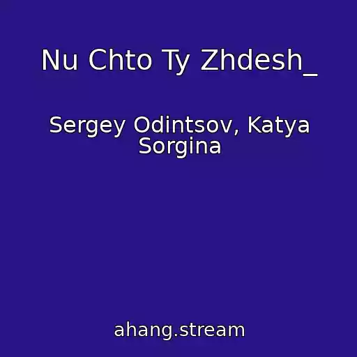 کاور آهنگ Nu Chto Ty Zhdesh_ از Sergey Odintsov, Katya Sorgina
