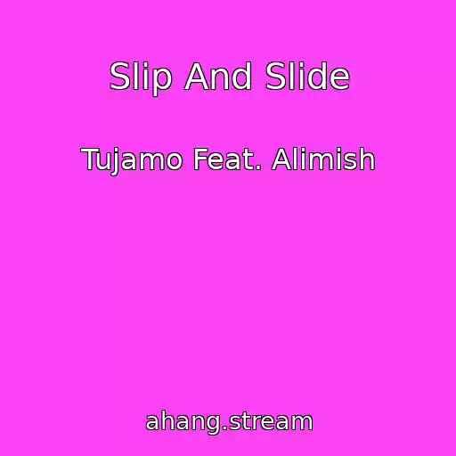 کاور آهنگ Slip And Slide از Tujamo Feat. Alimish