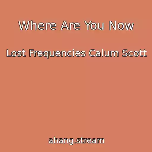 کاور آهنگ Where Are You Now از Lost Frequencies Calum Scott