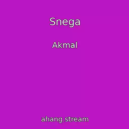 کاور آهنگ Snega از Akmal