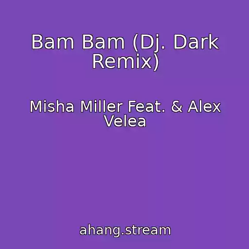 کاور آهنگ Bam Bam (Dj. Dark Remix) از Misha Miller Feat. & Alex Velea
