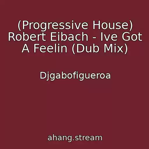 کاور آهنگ (Progressive House) Robert Eibach - Ive Got A Feelin (Dub Mix) از Djgabofigueroa