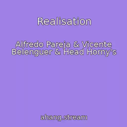 کاور آهنگ Realisation از Alfredo Pareja & Vicente Belenguer & Head Horny's