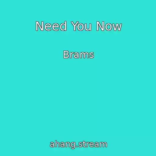 کاور آهنگ Need You Now از Brams