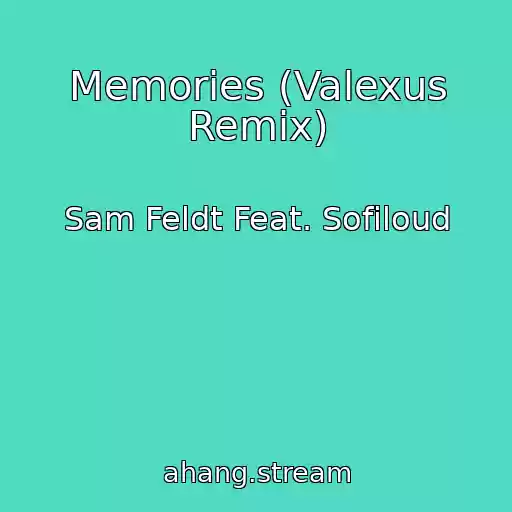 کاور آهنگ Memories (Valexus Remix) از Sam Feldt Feat. Sofiloud
