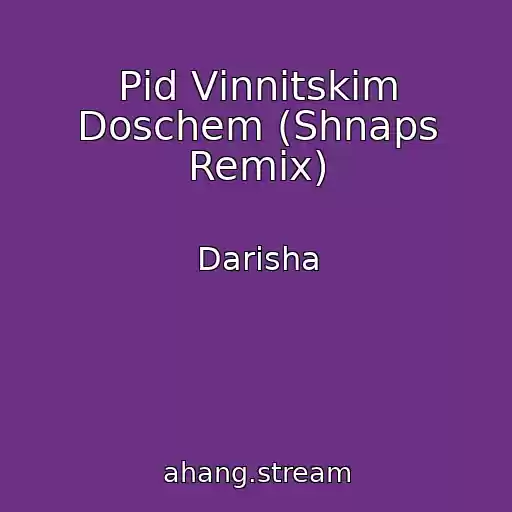 کاور آهنگ Pіd Vіnnitskim Doschem (Shnaps Remix) از Darisha