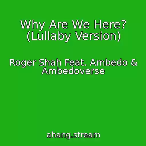 کاور آهنگ Why Are We Here? (Lullaby Version) از Roger Shah Feat. Ambedo & Ambedoverse