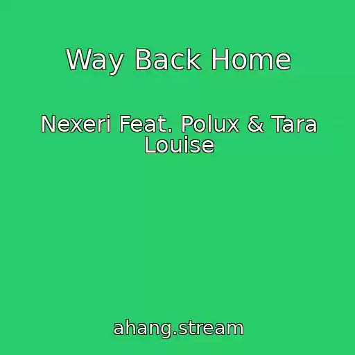 کاور آهنگ Way Back Home از Nexeri Feat. Polux & Tara Louise