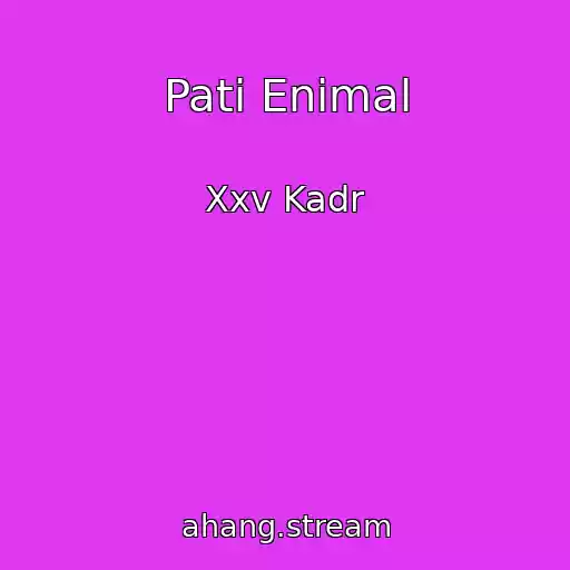 کاور آهنگ Patі Enіmal از Xxv Kadr