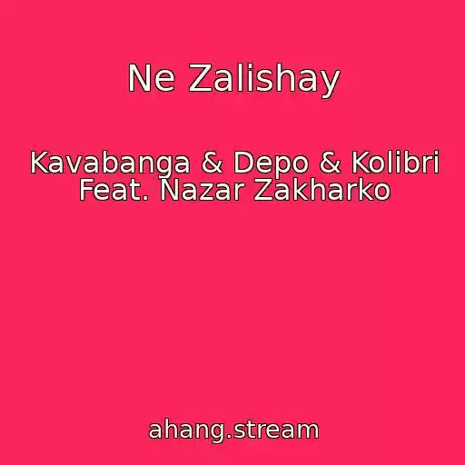 کاور آهنگ Ne Zalishay از Kavabanga & Depo & Kolibri Feat. Nazar Zakharko