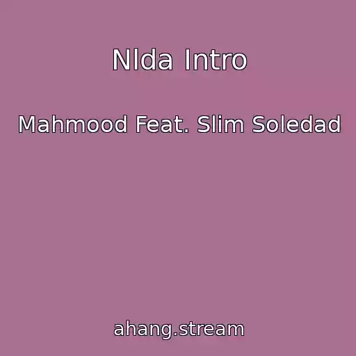 کاور آهنگ Nlda Intro از Mahmood Feat. Slim Soledad