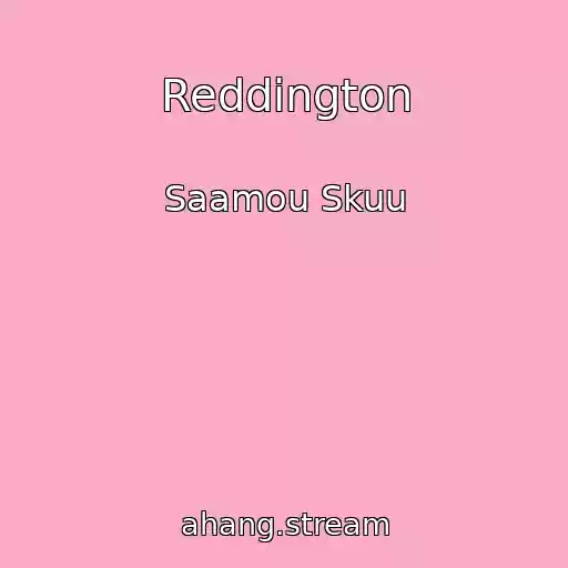 کاور آهنگ Reddington از Saamou Skuu