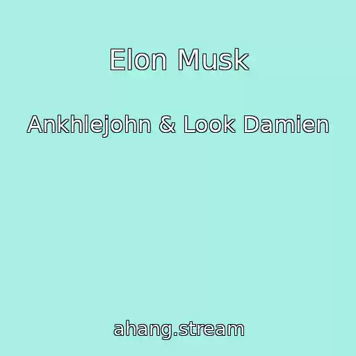 کاور آهنگ Elon Musk از Ankhlejohn & Look Damien