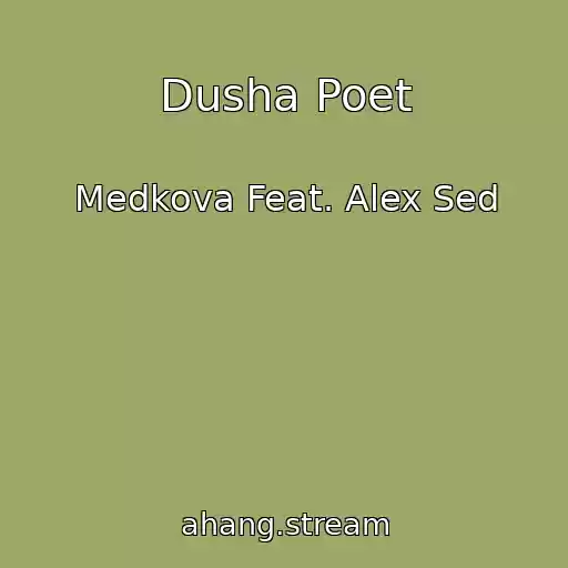 کاور آهنگ Dusha Poet از Medkova Feat. Alex Sed