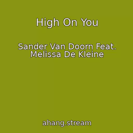 کاور آهنگ High On You از Sander Van Doorn Feat. Melissa De Kleine