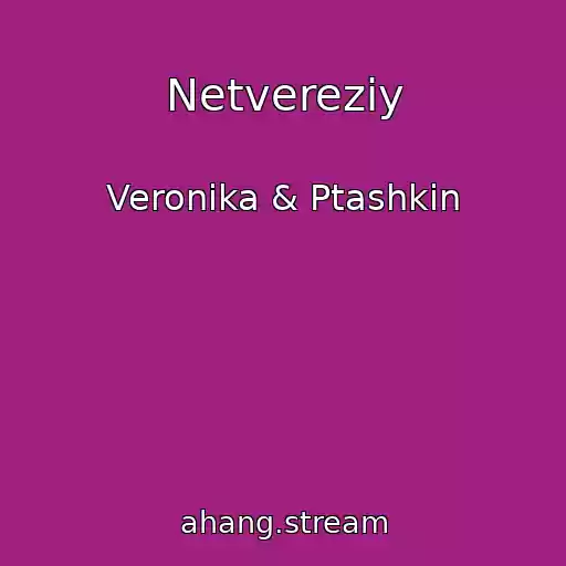کاور آهنگ Netvereziy از Veronika & Ptashkin
