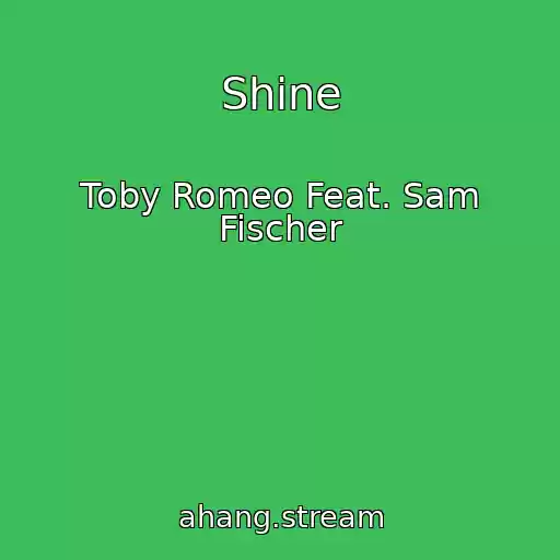 کاور آهنگ Shine از Toby Romeo Feat. Sam Fischer