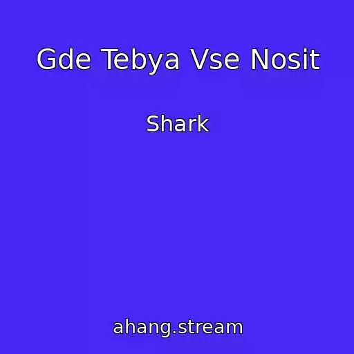 کاور آهنگ Gde Tebya Vse Nosit از Shark