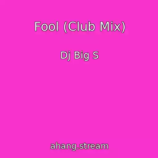 کاور آهنگ Fool (Club Mix) از Dj Big S